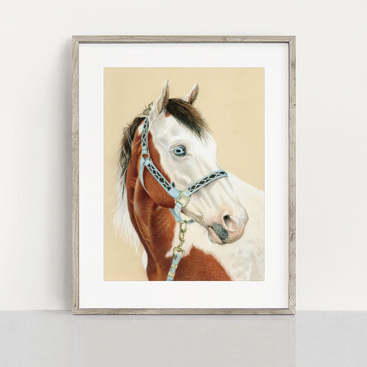 Art Print | Blue Eyes | 9" x 12" (frame/matboard not included)