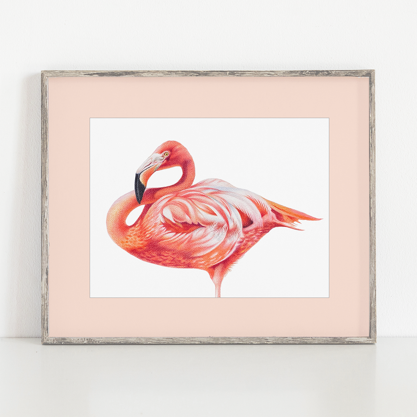 Art Print | American Flamingo | 12" x 9" (frame/matboard not included)